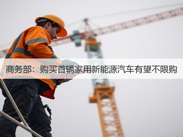 商务部：购买首辆家用新能源汽车有望不限购(图2)