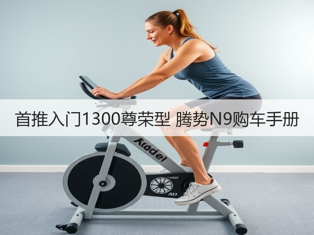 首推入门1300尊荣型 腾势N9购车手册(图3) 首推入门1300尊荣型 腾势N9购车手册(图3)