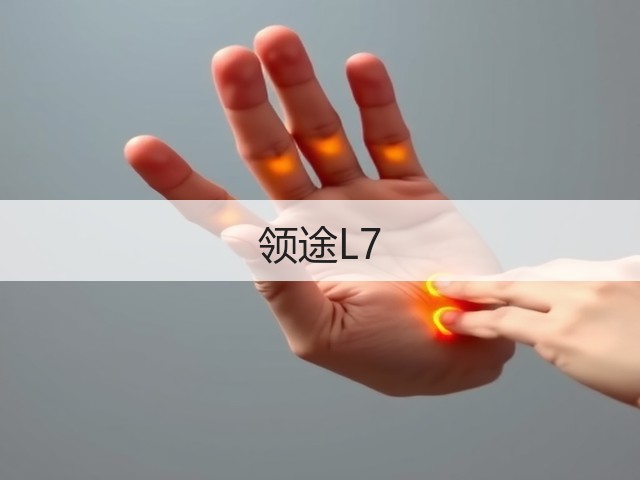 领途L7(图1)