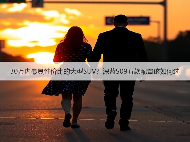 30万内最具性价比的大型SUV？深蓝S09五款配置该如何选(图1)
