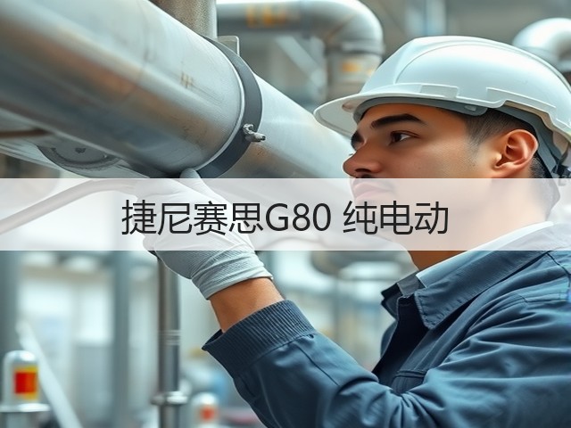 捷尼赛思G80 纯电动(图3)