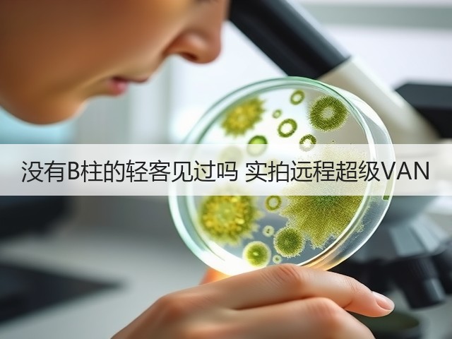 没有B柱的轻客见过吗 实拍远程超级VAN(图2)