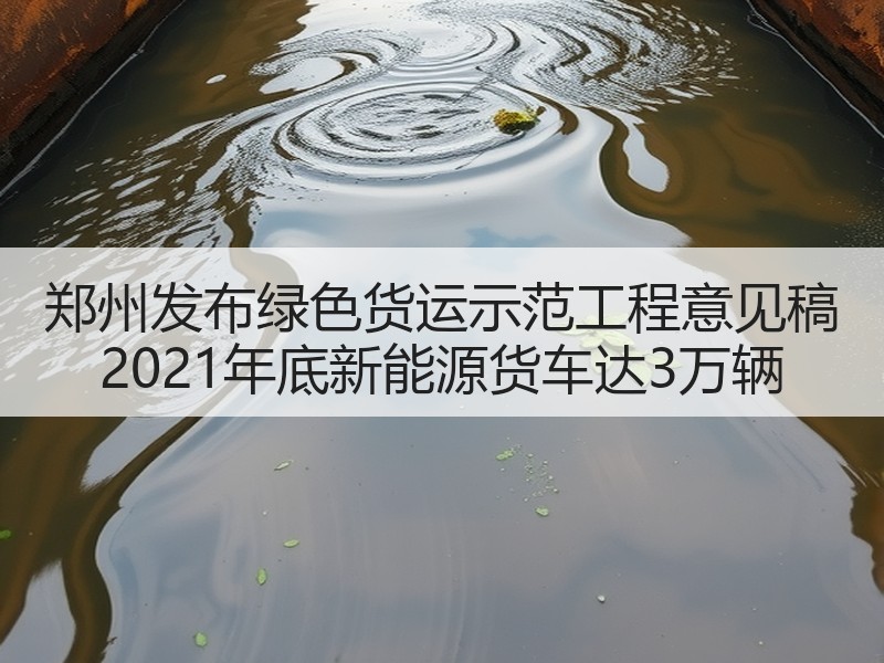 郑州发布绿色货运示范工程意见稿 2021年底新能源货车达3万辆