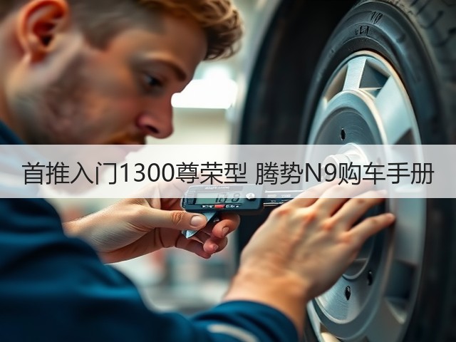 首推入门1300尊荣型 腾势N9购车手册(图3) 首推入门1300尊荣型 腾势N9购车手册(图3)