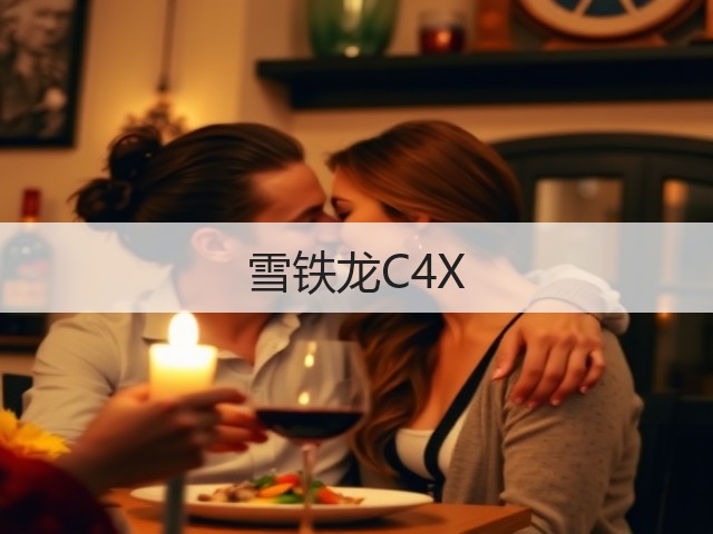 雪铁龙C4X(图3)