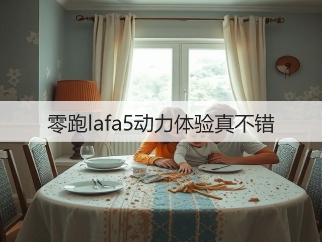 零跑lafa5动力体验真不错(图1)
