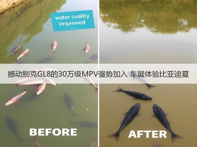 撼动别克GL8的30万级MPV强势加入 车展体验比亚迪夏(图3) 撼动别克GL8的30万级MPV强势加入 车展体验比亚迪夏(图3)