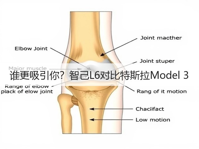 谁更吸引你？智己L6对比特斯拉Model 3(图3)