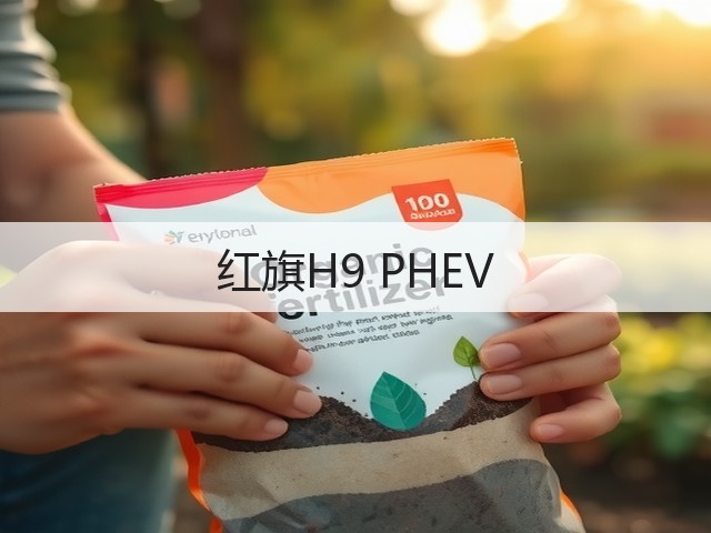 红旗H9 PHEV(图3)
