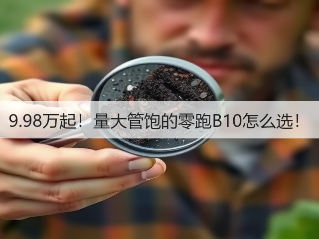 9.98万起!量大管饱的零跑B10怎么选!(图3) 9.98万起!量大管饱的零跑B10怎么选!(图3)