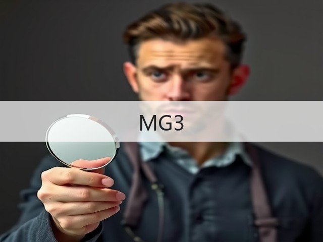 MG3(图3)