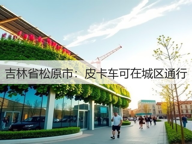 吉林省松原市：皮卡车可在城区通行(图1)
