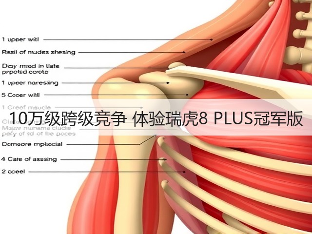 10万级跨级竞争 体验瑞虎8 PLUS冠军版(图2)