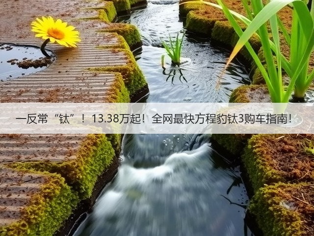一反常“钛”!13.38万起!全网最快方程豹钛3购车指南!(图2) 一反常“钛”!13.38万起!全网最快方程豹钛3购车指南!(图2)