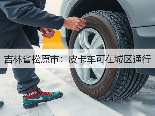 吉林省松原市：皮卡车可在城区通行(图3)