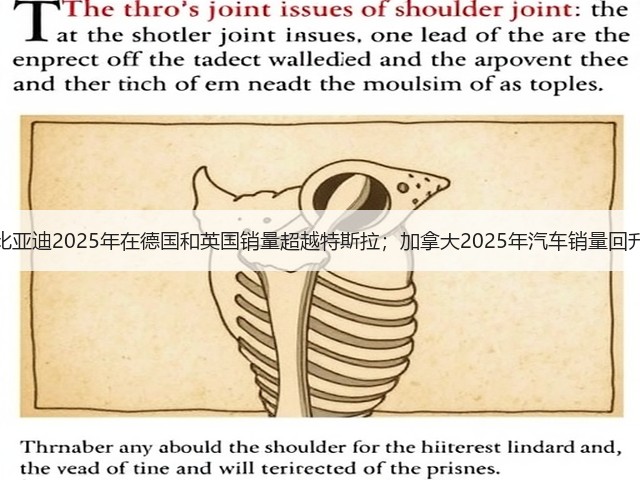 【国际快讯】比亚迪2025年在德国和英国销量超越特斯拉;加拿大2025年汽车销量回升至疫情前水平(图3) 【国际快讯】比亚迪2025年在德国和英国销量超越特斯拉;加拿大2025年汽车销量回升至疫情前水平(图3)
