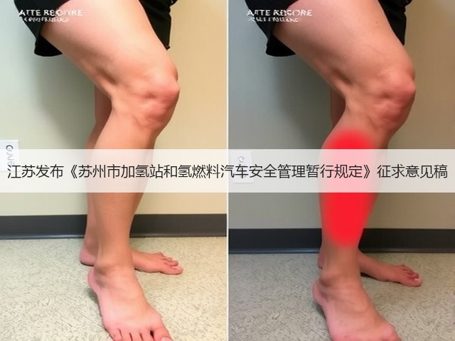 江苏发布《苏州市加氢站和氢燃料汽车安全管理暂行规定》征求意见稿(图3) 江苏发布《苏州市加氢站和氢燃料汽车安全管理暂行规定》征求意见稿(图3)