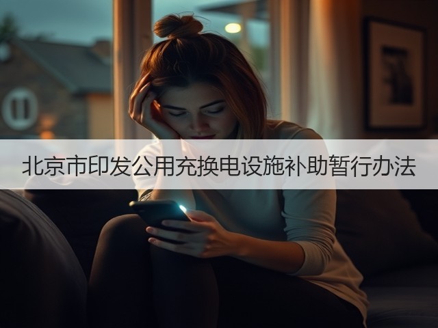 北京市印发公用充换电设施补助暂行办法(图3) 北京市印发公用充换电设施补助暂行办法(图3)