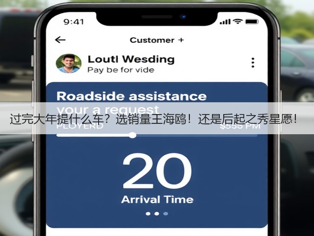 过完大年提什么车？选销量王海鸥！还是后起之秀星愿！(图3)