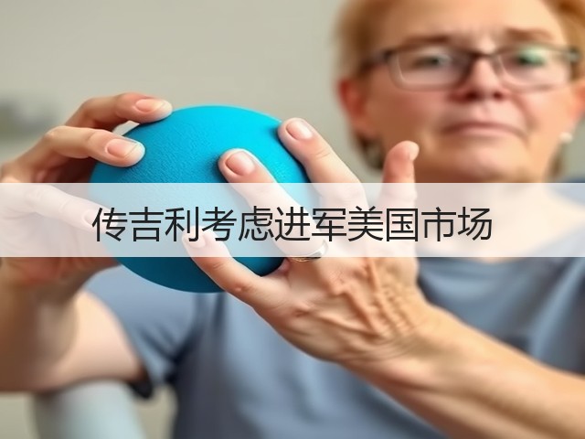 传吉利考虑进军美国市场(图3) 传吉利考虑进军美国市场(图3)
