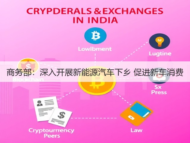 商务部：深入开展新能源汽车下乡 促进新车消费(图3)