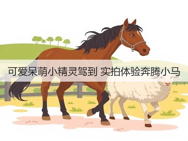 可爱呆萌小精灵驾到 实拍体验奔腾小马(图1)