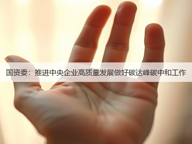 国资委:推进中央企业高质量发展做好碳达峰碳中和工作(图2) 国资委:推进中央企业高质量发展做好碳达峰碳中和工作(图2)