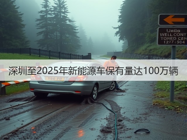 深圳至2025年新能源车保有量达100万辆(图2) 深圳至2025年新能源车保有量达100万辆(图2)