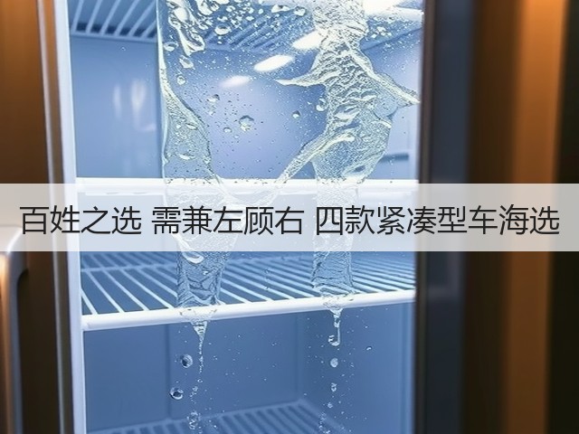 百姓之选 需兼左顾右 四款紧凑型车海选(图1) 百姓之选 需兼左顾右 四款紧凑型车海选(图1)