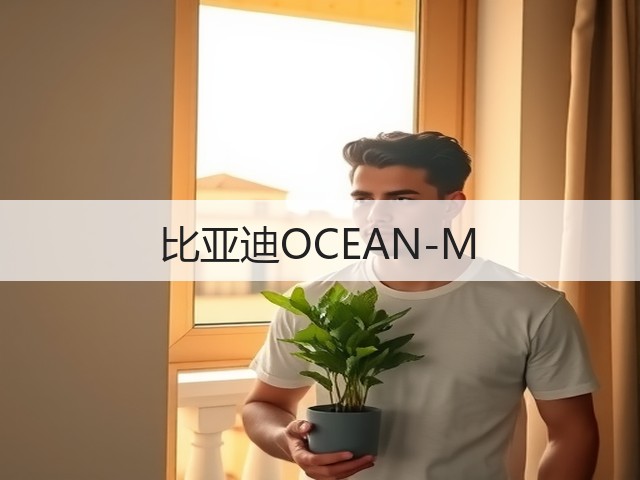 比亚迪OCEAN-M(图1)