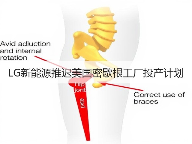 LG新能源推迟美国密歇根工厂投产计划(图1)