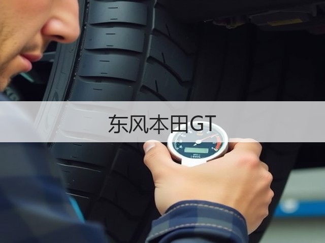 东风本田GT(图2)