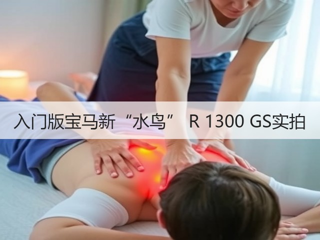 入门版宝马新“水鸟” R 1300 GS实拍(图2) 入门版宝马新“水鸟” R 1300 GS实拍(图2)