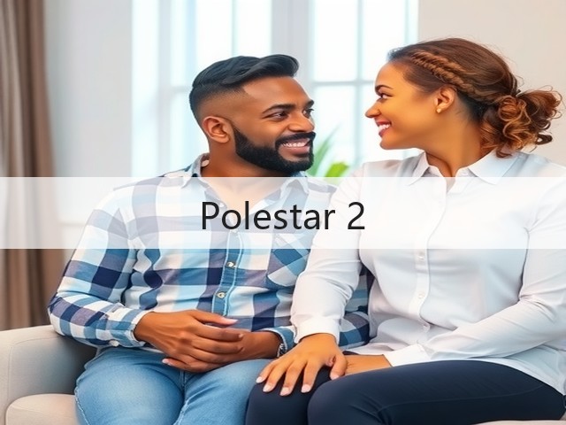 Polestar 2(图3)