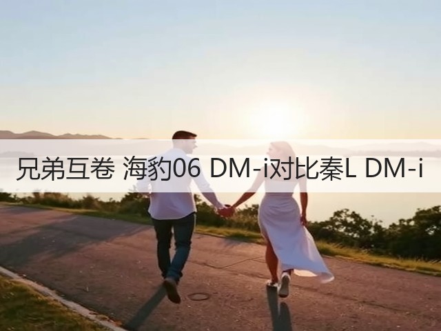 兄弟互卷 海豹06 DM-i对比秦L DM-i(图1)