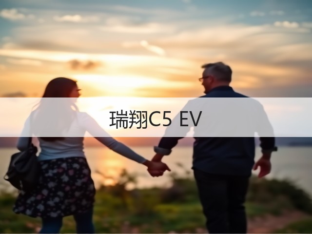 瑞翔C5 EV(图3)