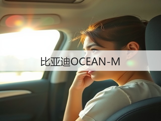 比亚迪OCEAN-M(图3)