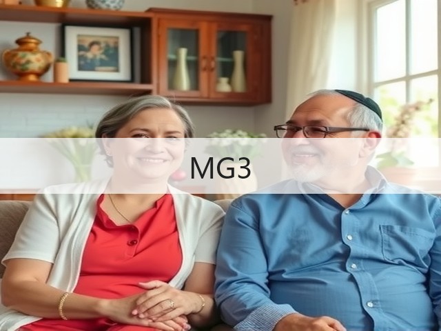MG3(图1)