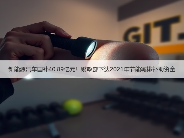 新能源汽车国补40.89亿元!财政部下达2021年节能减排补助资金(图2) 新能源汽车国补40.89亿元!财政部下达2021年节能减排补助资金(图2)