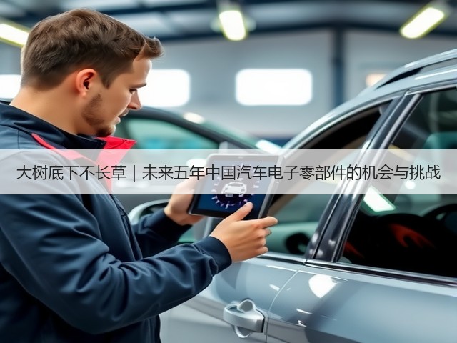 大树底下不长草｜未来五年中国汽车电子零部件的机会与挑战(图1)