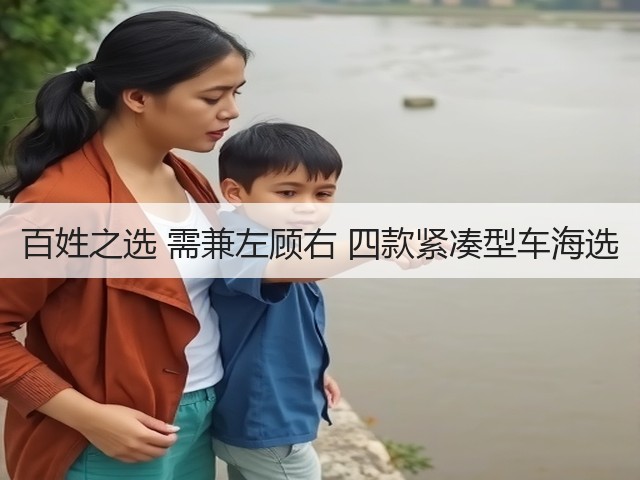 百姓之选 需兼左顾右 四款紧凑型车海选(图2) 百姓之选 需兼左顾右 四款紧凑型车海选(图2)
