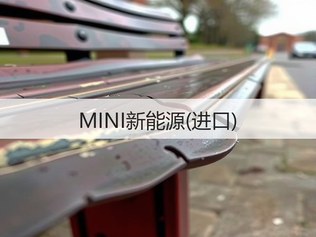 MINI新能源(进口)(图3)