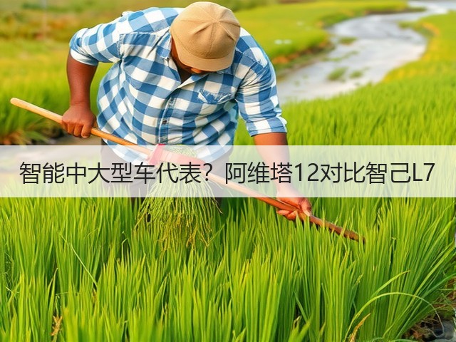 智能中大型车代表?阿维塔12对比智己L7(图2) 智能中大型车代表?阿维塔12对比智己L7(图2)