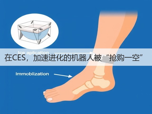 在CES,加速进化的机器人被“抢购一空”(图3) 在CES,加速进化的机器人被“抢购一空”(图3)