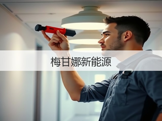 梅甘娜新能源(图3)