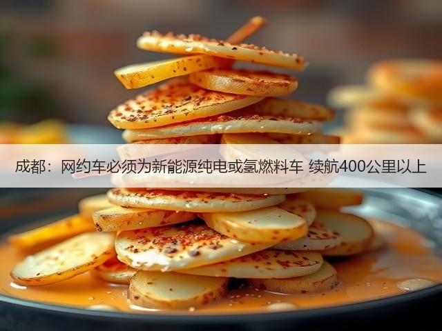 成都:网约车必须为新能源纯电或氢燃料车 续航400公里以上(图3) 成都:网约车必须为新能源纯电或氢燃料车 续航400公里以上(图3)