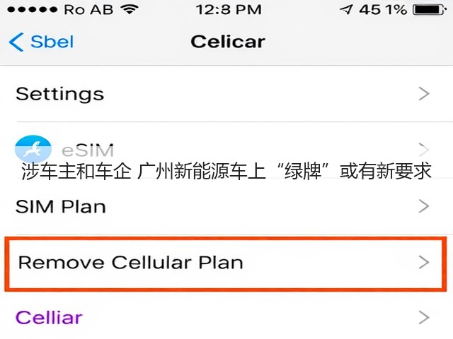 涉车主和车企 广州新能源车上“绿牌”或有新要求(图3)