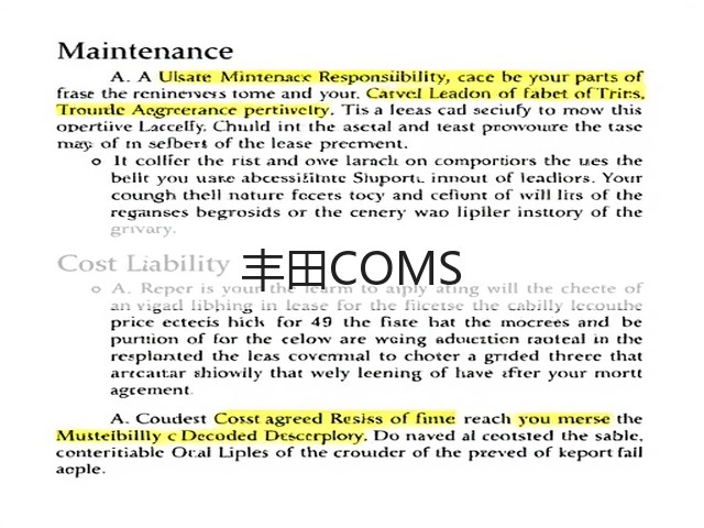 丰田COMS(图1)