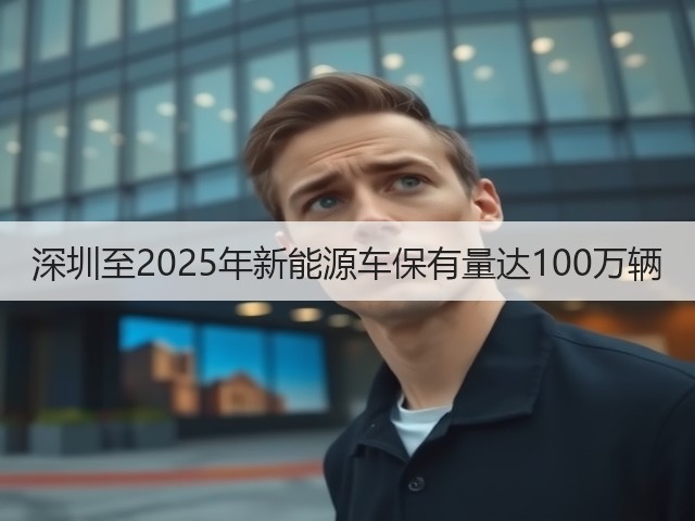 深圳至2025年新能源车保有量达100万辆(图3) 深圳至2025年新能源车保有量达100万辆(图3)